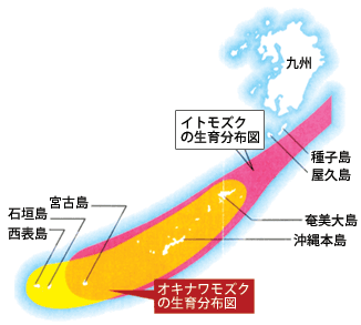 沖縄モズク由来フコイダンの生息分布図