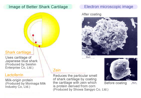 Better SHark Cartilage