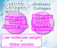Collagen