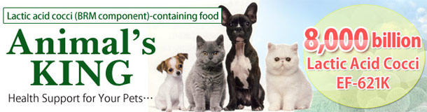 Animal's KING (Lactic acid bacteria supplement for pets)