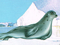 What is Seal Oil?
