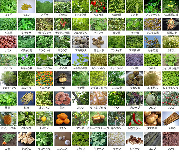 80 kinds of nature's bounty are fully condensed in a special enzyme drink!