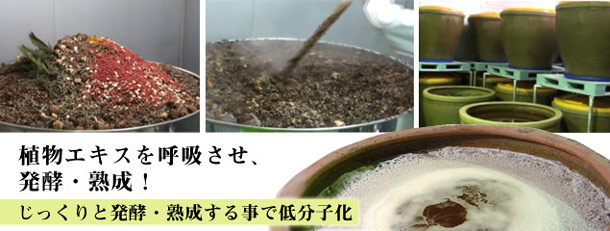 Well- selected raw materials have been fermented and aged slowly for more than one year.