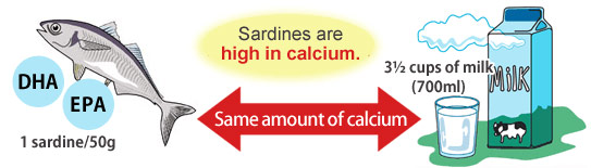 Sardine Peptides