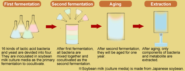 Manufacturing process of Lactic acid bacteria-producing component