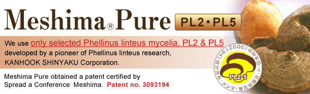 Meshima Pure (Phellinus linteus mycelia)
