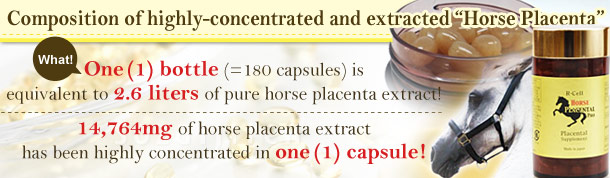 HORSE PLACENTAL Pro α