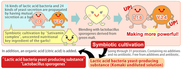 Komaki Pure Solution