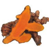 Tropical Turmeric