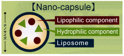 Nano-capsule