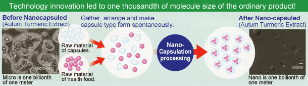 Nano-capsule
