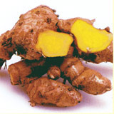 Spring turmeric