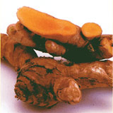 Autumn turmeric