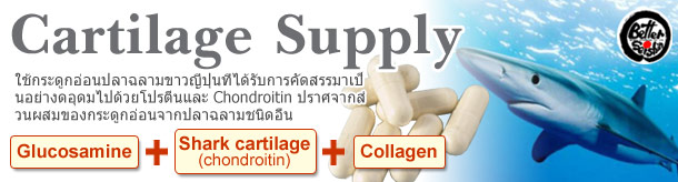 อาหารเสริมกระดูกอ่อน (Cartilage Supplements)