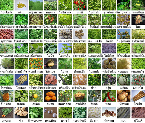 80 kinds of nature's bounty are fully condensed in a special enzyme drink!