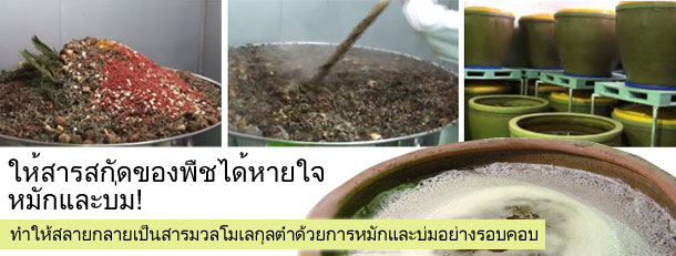 Well- selected raw materials have been fermented and aged slowly for more than one year.