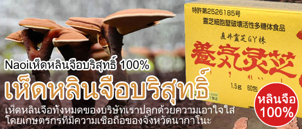 เห็ดหลินจือบริสุทธิ์ (เห็ดหลินจือNaoiGY100%)