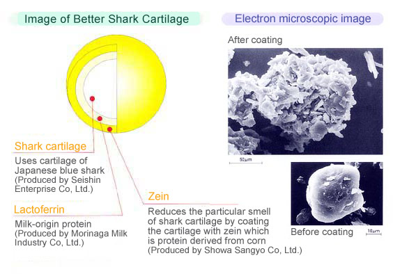 BETTER SHARK CARTILAGE鲨鱼软骨素