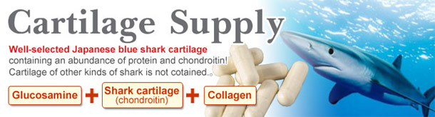 Cung cấp sụn（sụn vi cá mập）