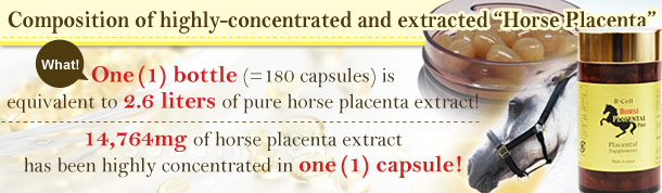 R-Cell Horse Placental Pro α