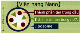 Nano-capsule