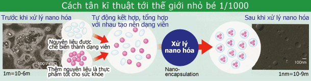 Nano-capsule