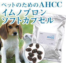 動物用AHCC イムノブロン