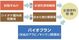 バイオブラン(米ぬかアラビノキシラン誘導体)とは。