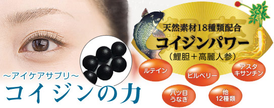 ビルベリー&ルテイン「コイジンの力」