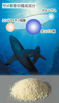 ヨシキリ鮫軟骨「ベターシャーク カーティレイジ」