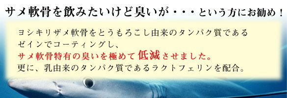ベターシャーク カーティレイジ