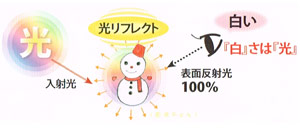 光リフレクト