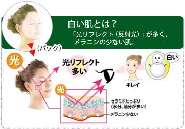 光リフレクトの多い肌1