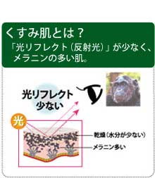 光リフレクトの多い肌2