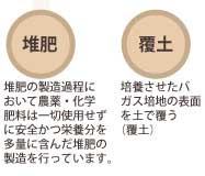 アガリクス茸ができるまで1