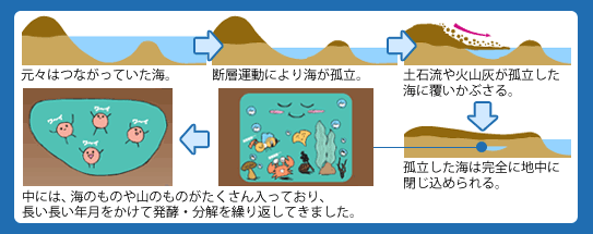 カタライザーの原料