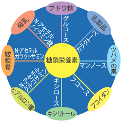 糖鎖栄養素