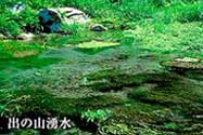 出の山湧き水