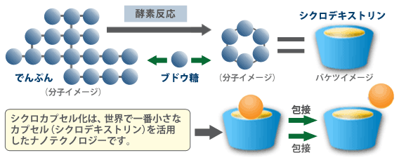 シクロカプセル化について