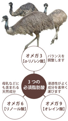 エミューオイルの成分