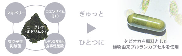 ミドリムシエメラルド配合成分