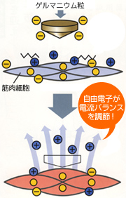 ゲルマニウムのしくみイメージ