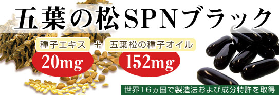 五葉松の粒「五葉の松SPNブラック」
