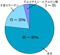 コラーゲンって何?