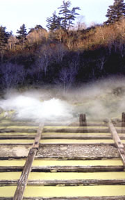 玉川温泉