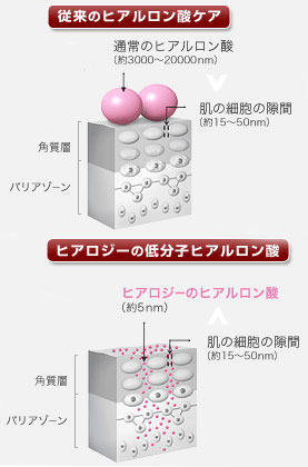 ヒアルロン酸の比較