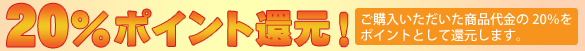 20%ポイント還元