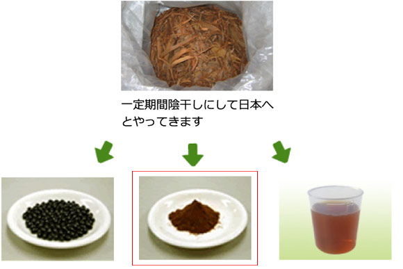 イペエキスパウダー製造