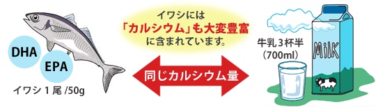 カルシウムも豊富なイワシ
