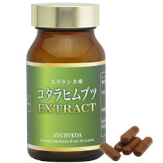 コタラヒムブツEX